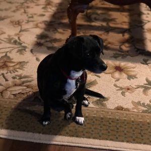 Meet your Posher, Donna